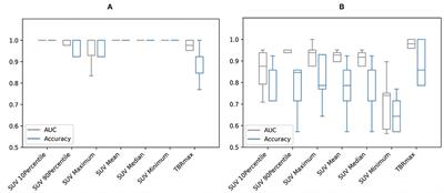 Exploring the Utility of Radiomic Feature Extraction to Improve the Diagnostic Accuracy of Cardiac Sarcoidosis Using FDG PET